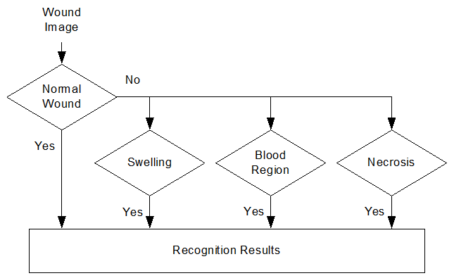 傷口感染類型辨識流程圖